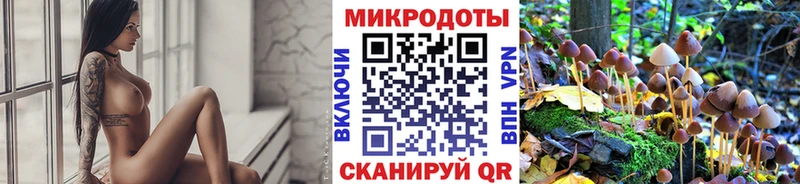 Псилоцибиновые грибы Psilocybine cubensis  мега онион  Грозный 